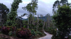 Prince Of Kalasa Homestay